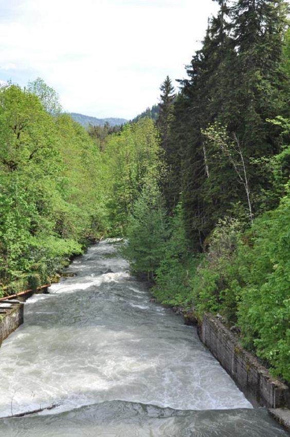 Lazurniy Bereg Hotel Gagra Exterior foto